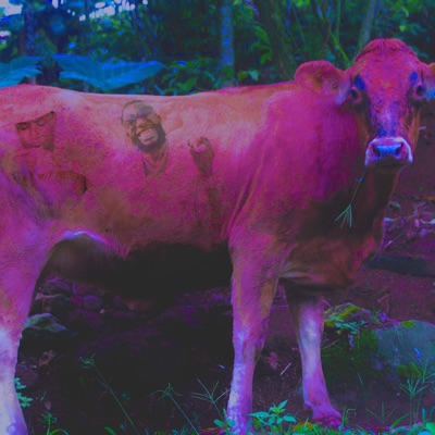 1017 Dream (Free Pooh Shiesty) - Single