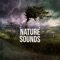 Natural Cures For Sleep Apnea - Nature Sounds Of Rain For Sleep lyrics