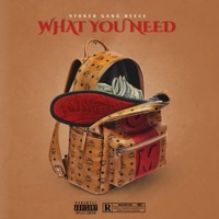 What You Need - Single - Stoner Gang Reece