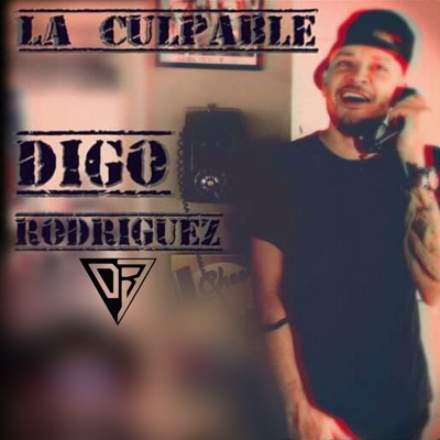 La Culpable - Single