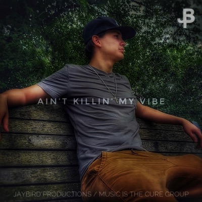 Ain't Killin' My Vibe - Single