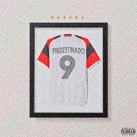 Predestinado - Single - TUNIKIM