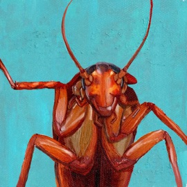 Cháchara Nicolás Carou & WEN