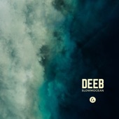 Deeb - Fluid Dynamics