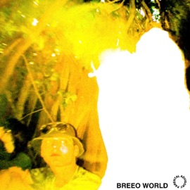 Breeo World Breeo