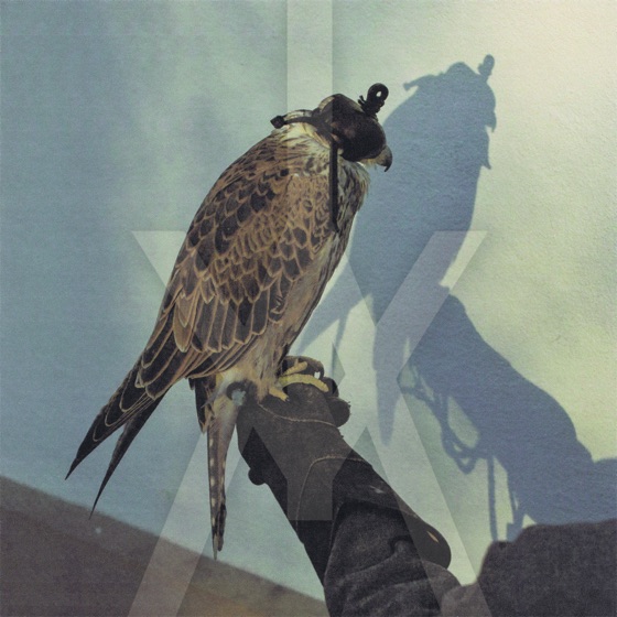 Cover artwork for Coalition