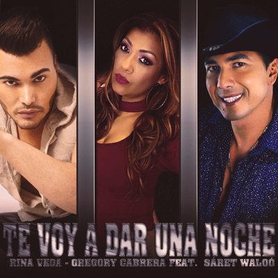 Te Voy a Dar una Noche (feat. Sáret Waloó) - Single