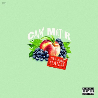 Organic Players - Single