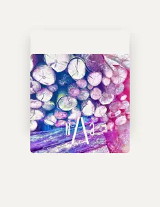 Escucha a The Nature Project, mira videos musicales, lee su biografía, consulta las fechas de las gira y más.