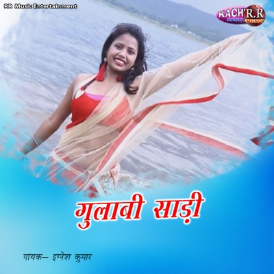 Gulabi Sari - Single
