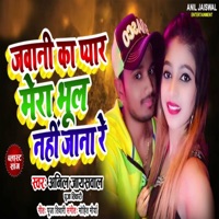 Jawani Ka Pyar Mera Bhul Nhi Jaana Re - Single - Anil Jaiswal & Puja Tiwari