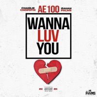 Wanna Luv You (feat. Charlie Chopstix & Isaiah Palms) - Single - AE100