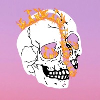 Handlebars V9 - Single - BEANIE BELTRAN