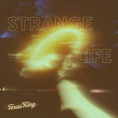 Strange Life artwork