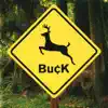 Buck - The Day I Died