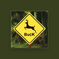 Buck