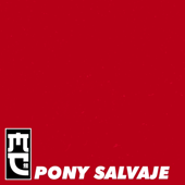 Pony Salvaje