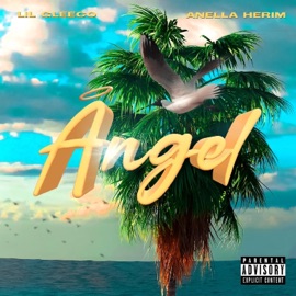 Angel (feat. Anella Herim) Lil Gleeco