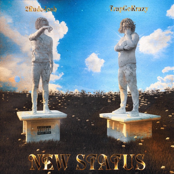 New Status (feat. Trapgokrazy)