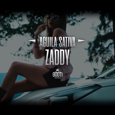 Zaddy - Single