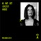 Dushi (Hioll Remix) [Mixed] - Verschwender lyrics