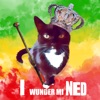 Lenze & De Buam - I wunder mi ned