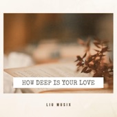 How Deep Is Your Love (Acoustic Guitar Fingerstyle) artwork