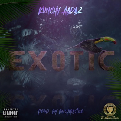 Exotic (feat. Bushmaster Beats) - Single