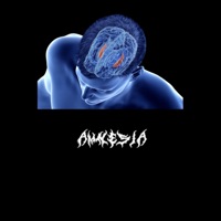 Amnesia - Single - MRRXJXCT