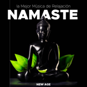 Namaste: la Mejor Música de Relajación, Ambient, New Age, Instrumental (Lluvia, Olas del Mar, Naturaleza y Ruido Blanco) - Musica para Meditar, Música relajante & Meditacion