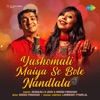 Yashomati Maiya Se Bole Nandlala - Single