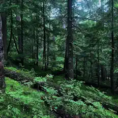 Écoutez TONTO, regardez des vidéoclips, lisez la biographie, consultez les dates de tournée et plus encore !