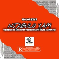 Njabulo Yam (feat. The Tears of Lebcow, The Chromatic Souls & Aura Dee) - Single - Major_Keys