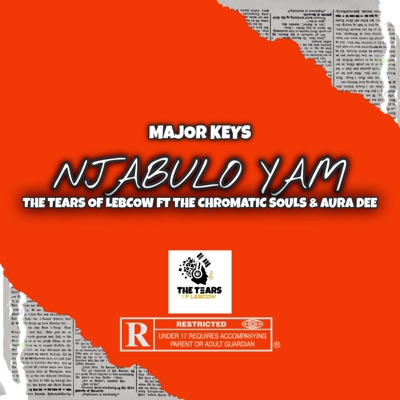 Njabulo Yam (feat. The Tears of Lebcow, The Chromatic Souls & Aura Dee) - Single