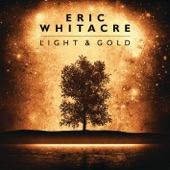 Eric Whitacre - Leonardo Dreams Of His Flying Machine