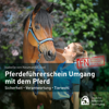 Pferdeführerschein Umgang mit dem Pferd (Sicherheit - Verantwortung - Tierwohl) - Isabelle von Neumann-Cosel & Deutsche Reiterliche Vereinigung FN