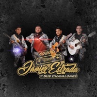 Me Voy Animar - Single - Javier Estrada y Sus Chavalones