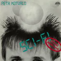 UKRADNU TĚ, LÁSKO — PETR KOTVALD