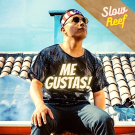 Me Gustas (feat. Kavawai) Slow Reef