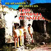 El tamaulipas — Trío Armonía Huasteca