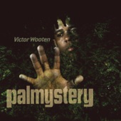 Victor Wooten - The Lesson