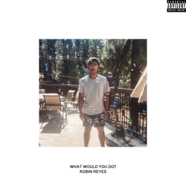 What Would You Do? Robin Reyes