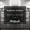 Domestic Science - Green Company (Re-Mixed)
