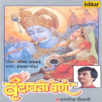 Vrundawani Venu - Ajit Kadkade