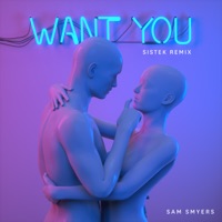 Want You (Sistek Remix) - Single - Sam Smyers