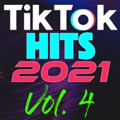 TikTok Hits 2021, Vol. 4 artwork