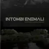 Stream & download Intombi Enemali (feat. Chillibite & Marikana) - Single