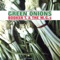 Green Onions - Booker T. & The M.G.'s lyrics