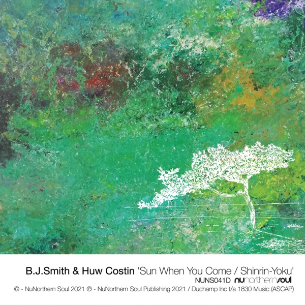 Sun When You Come / Shinrin-Yoku - Single