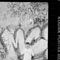 Lunch Money - Aquinas lyrics